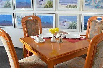 Pallas Дармштадт